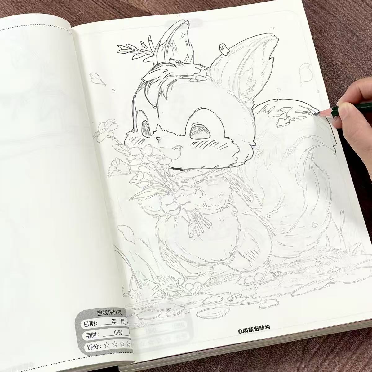 Книга для рисования и обводки  – обзор и цена Art Book Illustration